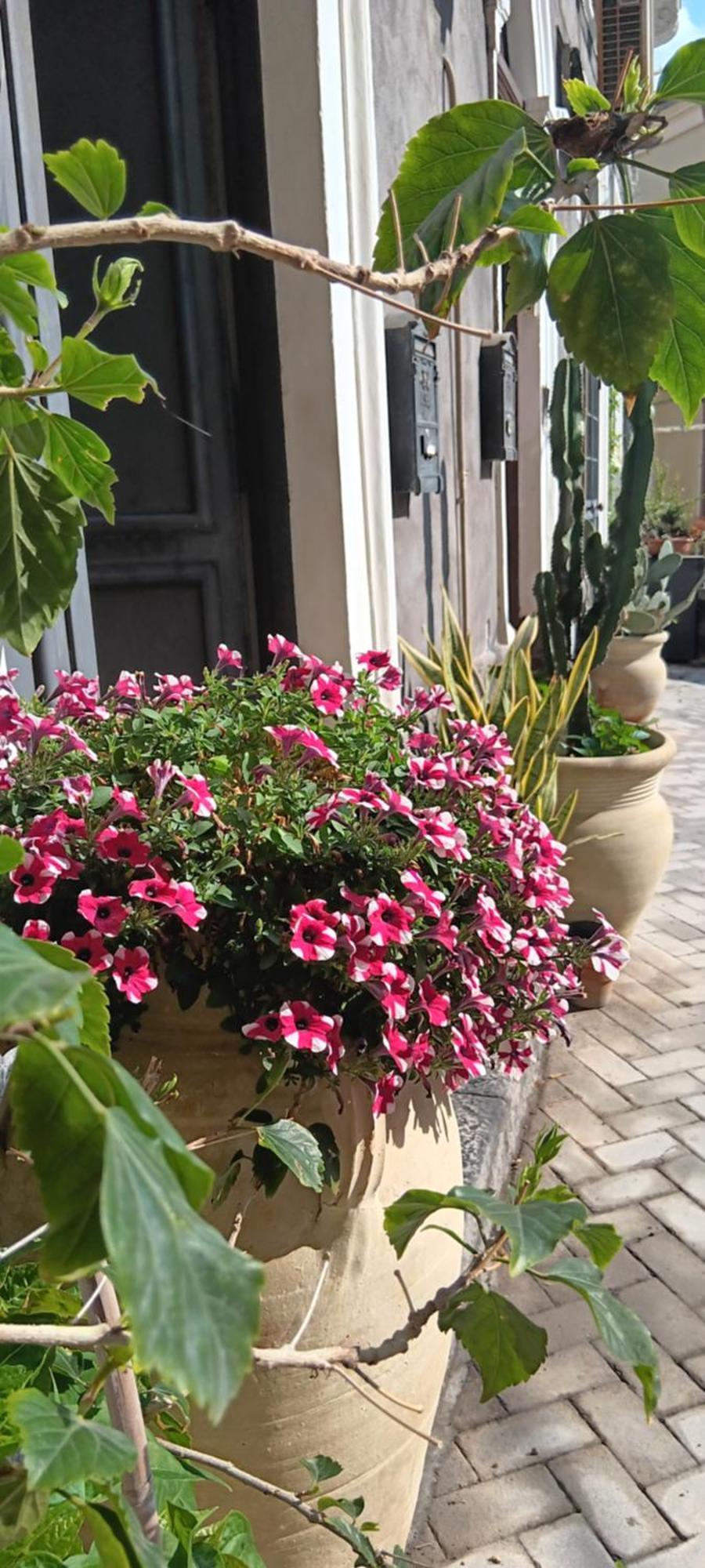 Elvira Home Catania Bagian luar foto
